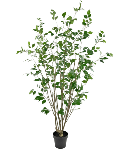 De Kunstplant Ficus 180 cm is een hoge kunstboom in pot met meerdere slanke bruine stammen en dichte groene bladeren tegen een effen witte achtergrond.