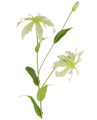 Artificial flower gloriosa 81 cm white