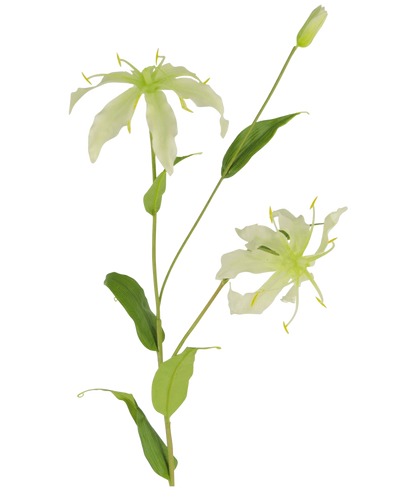 De Kunstbloem Gloriosa 81 cm wit heeft een groene steel met lange, slanke bladeren en twee lichtgroene, spinachtige bloemen met smalle, gekrulde bloemblaadjes, gele meeldraden en een gesloten knop aan de top voor een levensechte aantrekkingskracht.