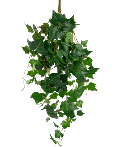 De Kunst klimop reuzenbladeren 100cm hebben weelderige groene klimopbladeren met puntige randen en slingerende ranken, prachtig weergegeven tegen een effen witte achtergrond.