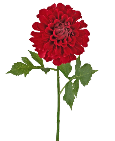 Kunstbloem Dahlia 50 cm rood: een enkele rode dahlia met meerdere lagen bloemenblaadjes en groene bladeren op een lange steel, geïsoleerd op een witte achtergrond.