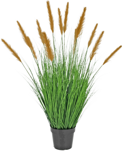 De Kunst Grasplant Struisriet 100 cm brandvertragend staat in een zwarte pot met hoge, grasachtige bladeren en lange bruine pluimen, die groene decoratie toevoegen tegen een effen witte achtergrond.