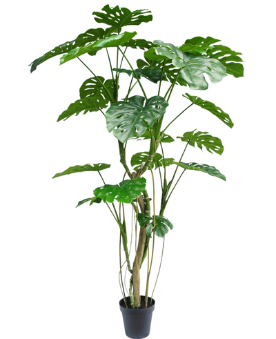 De Kunstplant Monstera 210 cm is een hoge potplant met meerdere lange stelen en grote, glanzende, gespleten groene bladeren die lijken op een echte monstera. Hier afgebeeld tegen een effen witte achtergrond.