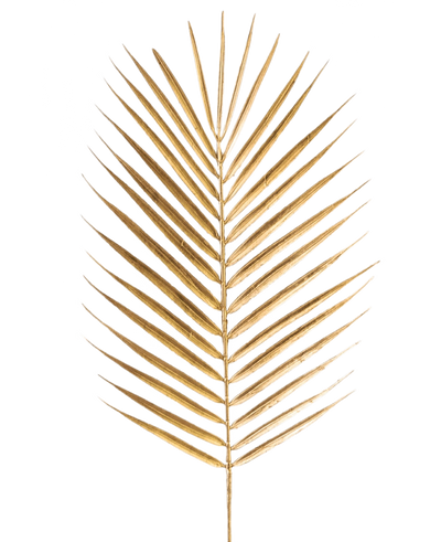 Het Kunsttak Varen 64 cm goud heeft een enkel gouden palmblad met lange, slanke bladeren op een effen witte achtergrond.