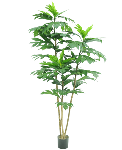 De Kunstplant Nangka 180 cm is een hoge kunstplant met meerdere slanke bruine stengels en grote, glanzend groene bladeren in een kleine zwarte pot, afgebeeld tegen een effen witte achtergrond.