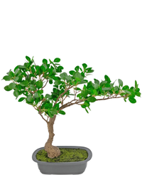 Artificial Plant Bonsai Ficus 40 cm
