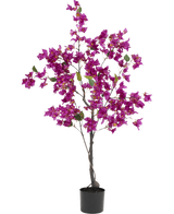 De Kunstplant Bougainvillea 125 cm Paars heeft levendige paarse bloemen en weelderige groene bladeren aan verschillende takken, waardoor het een kleurrijke kunstplant is die ideaal is om elke binnenruimte op te fleuren.