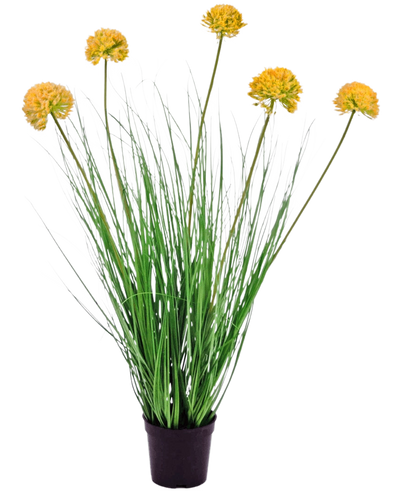De Kunst Grasplant Ui 70 cm brandvertragend heeft lange, dunne groene bladeren en hoge stelen met ronde gele bloemtrossen, waardoor hij prachtig afsteekt tegen een witte achtergrond.