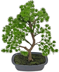 Artificial Plant Bonsai Juniper 30 cm