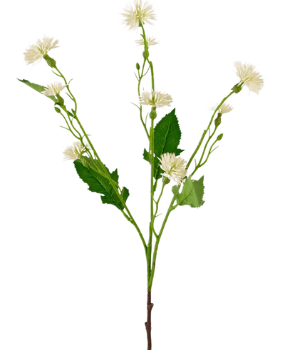 De Kunstbloem Daisy Spray 54 cm witstraal heeft een enkele groene steel met vertakte trossen kleine, witte margrietachtige bloemen en grillige groene bladeren, tegen een effen witte achtergrond.