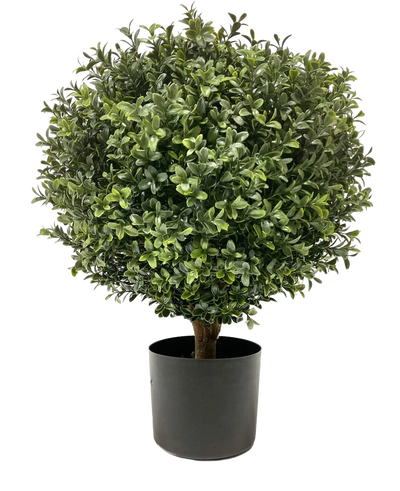 De Kunst Buxus op stam UV 40 cm is een ronde, bossige groene vorm met dichte bladeren in een eenvoudige zwarte pot, tegen een effen witte achtergrond.