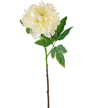 The Artificial Flower Peony 61 cm white is an artificial white peony with layered petals and green leaves on a long brown stem, depicted against a plain white background.