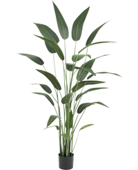 Artificial plant heliconia 180 cm