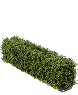 De Kunst Buxushaag UV 100x20x25 cm heeft een netjes gesnoeide rechthoekige haag met dichte, kleine groene bladeren die een stevige blokvorm vormen tegen een witte achtergrond.