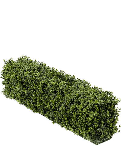 De Kunst Buxushaag UV 100x20x25 cm heeft een netjes gesnoeide rechthoekige haag met dichte, kleine groene bladeren die een stevige blokvorm vormen tegen een witte achtergrond.