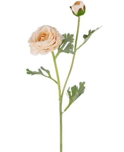 De Kunstranonkel Real Touch Crème 60cm heeft een steel met groene bladeren die twee crèmekleurige ranonkelbloemen ondersteunen - de ene volledig open, de andere nog in knop.