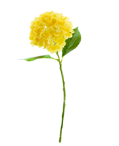 De Kunstbloem Charlotte hortensia Real Touch Geel 49 cm heeft een enkele gele hortensia met groene bladeren en een lange steel, tegen een effen witte achtergrond.
