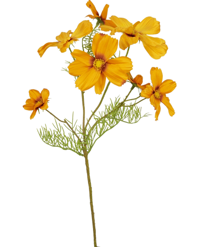 De Kunstbloem Cosmos 74 cm oranje heeft meerdere levendige oranje bloemen en delicate groene bladeren, die een levendige kunstbloemen flair toevoegen aan elke ruimte - perfect voor bloemen in huis decoratie, vooral tegen een witte achtergrond.