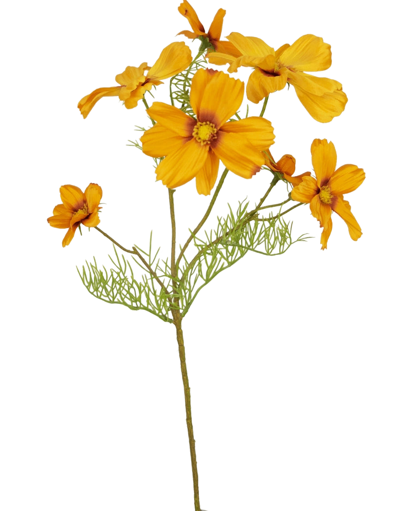 De Kunstbloem Cosmos 74 cm oranje heeft meerdere levendige oranje bloemen en delicate groene bladeren, die een levendige kunstbloemen flair toevoegen aan elke ruimte - perfect voor bloemen in huis decoratie, vooral tegen een witte achtergrond.