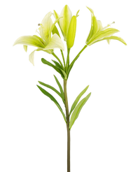 Artificial flower Asian Lily 66 cm white