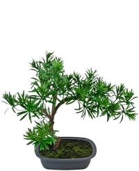 Artificial Plant Bonsai Podocarpus 40 cm