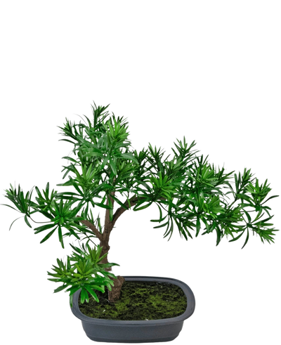 De Kunstplant Bonsai Podocarpus 40 cm heeft dicht groen gebladerte in een ondiepe rechthoekige grijze pot met mos, perfect om een natuurlijke stijl toe te voegen aan elke ruimte.