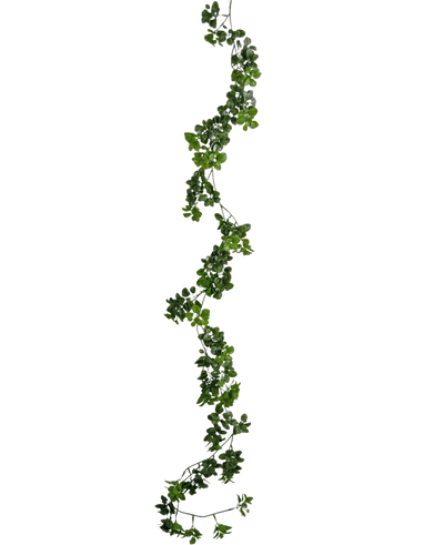 De Kunst slingerplant Gardenia 157 cm heeft een enkele, lange groene liaan met kleine blaadjes die verticaal tegen een effen witte achtergrond hangt.