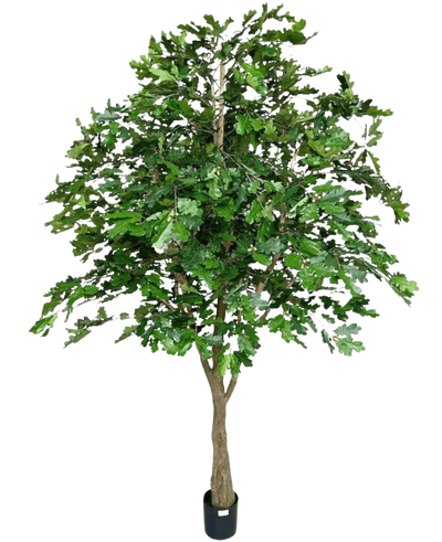 De Kunst Eikenboom 270 cm heeft dichte groene bladeren en een dikke bruine stam in een kleine zwarte pot, tegen een witte achtergrond - perfect als kunstboom voor binnen.