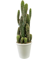 Artificial cactus 62 cm