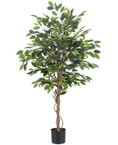 De Kunstplant Ficus 150 cm brandvertragend heeft groene bladeren en meerdere slanke, gedraaide bruine stammen in een zwarte pot. Het brandvertragende materiaal zorgt voor extra veiligheid in elke ruimte.