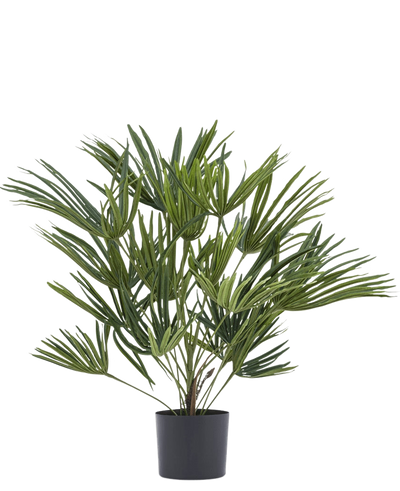 De Kunstplant Baby Palm Fan in pot UV 50 cm heeft lange, slanke groene bladeren in een stijlvolle pot - ideaal om een elegant tintje aan je interieur te geven of om te combineren met sierpotten voor extra flair.