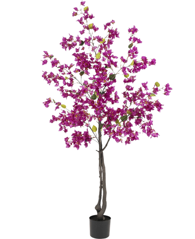 De Kunstplant Bougainvillea 180 cm Paars heeft donkere takken, levendige paarse bloemen en groene bladeren in een zwarte pot - perfect als kleurrijke kunstplant voor je woonkamer.