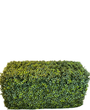 De Kunsthaag Buxus Romeinse Stijl (90 x 35 x 50 cm) is een dichte, rechthoekige groene haag met kleine blaadjes, geïsoleerd afgebeeld op een witte achtergrond.