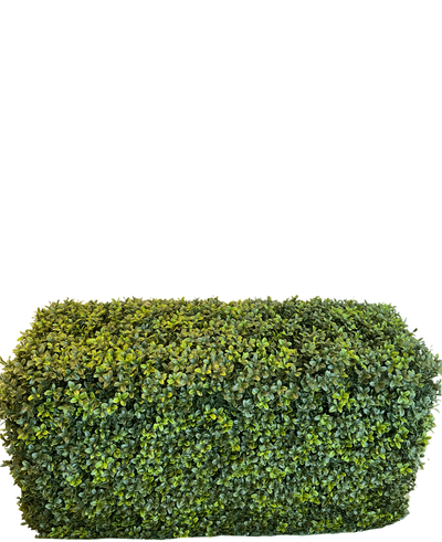 De Kunsthaag Buxus Romeinse Stijl (90 x 35 x 50 cm) is een dichte, rechthoekige groene haag met kleine blaadjes, geïsoleerd afgebeeld op een witte achtergrond.