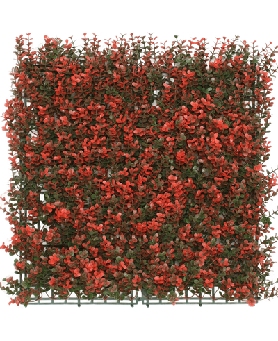 De Kunsthaag Buxus rood 50x50 cm UV is een vierkant kunstgroen paneel met dichte kleine groene bladeren en rode bloemtrossen, ideaal voor decoratie of privacy.