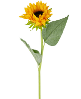 De Kunst Zonnebloem Real Touch 61cm heeft een enkele kunstzonnebloem met heldergele bloemblaadjes, een donkerbruin hart, twee grote groene bladeren en een lange groene steel, perfect om te laten zien tegen een witte achtergrond.