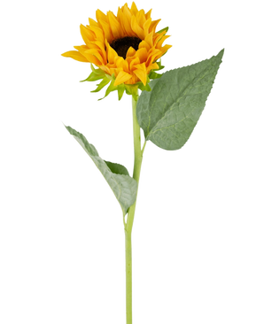 De Kunst Zonnebloem Real Touch 61cm heeft een enkele kunstzonnebloem met heldergele bloemblaadjes, een donkerbruin hart, twee grote groene bladeren en een lange groene steel, perfect om te laten zien tegen een witte achtergrond.