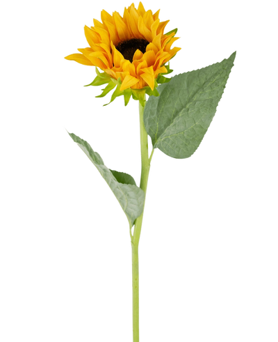 De Kunst Zonnebloem Real Touch 61cm heeft een enkele kunstzonnebloem met heldergele bloemblaadjes, een donkerbruin hart, twee grote groene bladeren en een lange groene steel, perfect om te laten zien tegen een witte achtergrond.