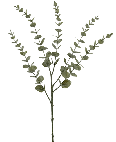 De Kunstbloem Eucalyptus Yugali 71 cm is een enkele kunststengel met vijf vertakkende takken en kleine, ronde groene bladeren, geïsoleerd afgebeeld op een witte achtergrond.