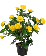 De Kunstplant Mini Rose UV 35 cm geel is een kunstplant in pot met meerdere stelen van levendige gele rozen en groene bladeren, weergegeven in een kleine zwarte container tegen een eenvoudige achtergrond.