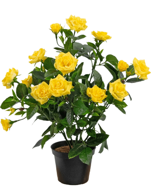 De Kunstplant Mini Rose 35 cm geel heeft levendige gele rozen en weelderige groene bladeren in een zwarte pot, tegen een witte achtergrond.