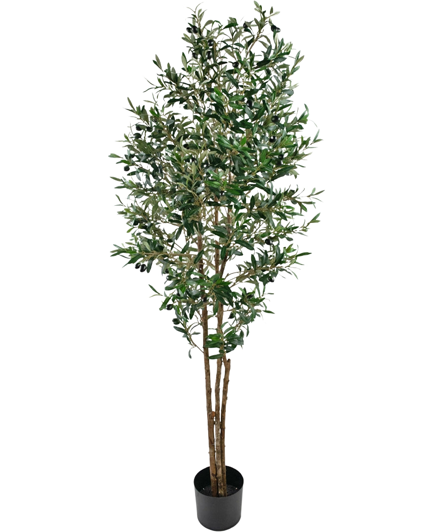 The Artificial olive tree UV 180 cm is a tall fake olive tree with slender branches and green leaves, UV-resistant, supplied in a simple black pot and beautifully highlighted against a white background.