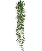 The Artificial hanging plant Ivy deluxe 180 cm green is a long artificial ivy with many small green leaves, hanging vertically against a plain white background.