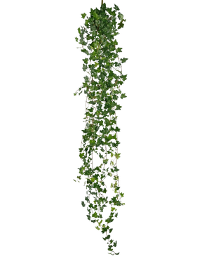 The Artificial hanging plant Ivy deluxe 180 cm green is a long artificial ivy with many small green leaves, hanging vertically against a plain white background.