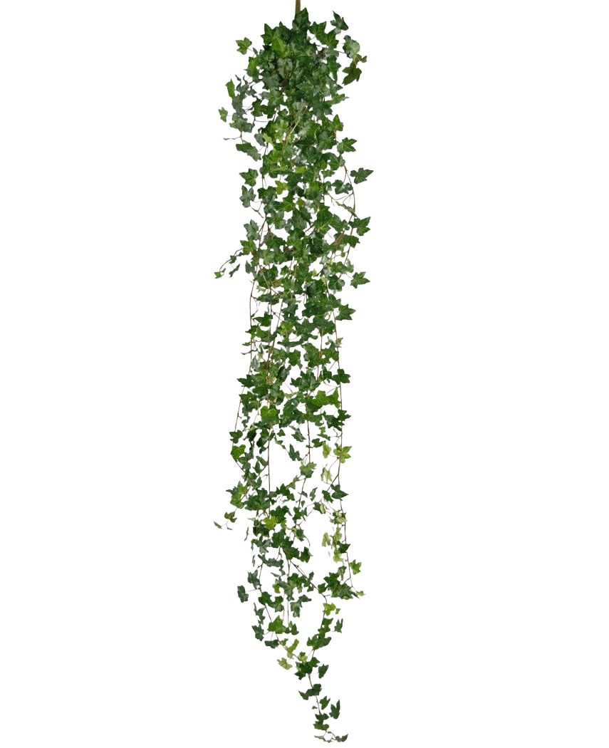 The Artificial hanging plant Ivy deluxe 180 cm green is a long artificial ivy with many small green leaves, hanging vertically against a plain white background.