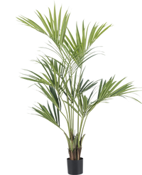 Artificial Palm Kentia 165 cm