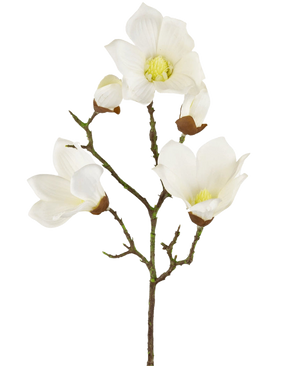 Een Kunst Magnolia Real Touch Wit 72cm tak toont meerdere witte magnolia bloemen en knoppen met gele harten, tegen een effen witte achtergrond.