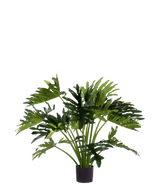 De Kunstplant Philodendron UV 90 cm heeft grote, glanzende, diep gelobde groene bladeren op meerdere stelen - ideaal als weelderige, onderhoudsvrije kamerplant om elke ruimte op te fleuren.