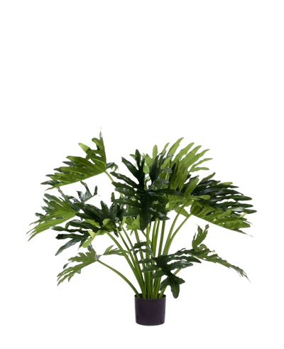 De Kunstplant Philodendron UV 90 cm heeft grote, glanzende, diep gelobde groene bladeren op meerdere stelen - ideaal als weelderige, onderhoudsvrije kamerplant om elke ruimte op te fleuren.