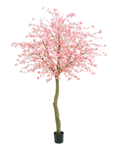 De Kunstboom Kersenbloesem roze 330 cm heeft een gebogen bruine stam en overvloedige roze bloemen tegen een effen witte achtergrond.